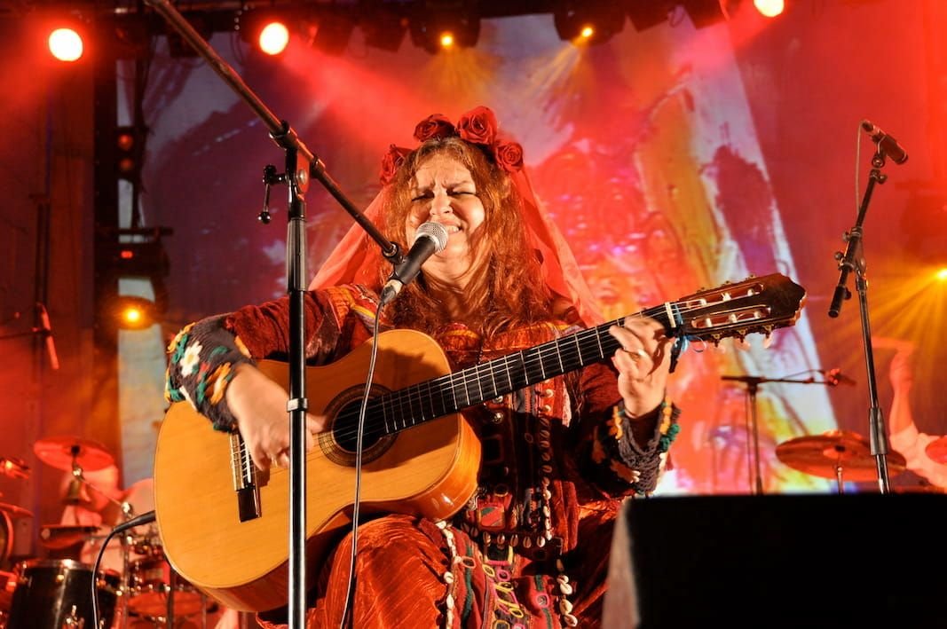 Captation photo d'une chanteuse en concert sur scène